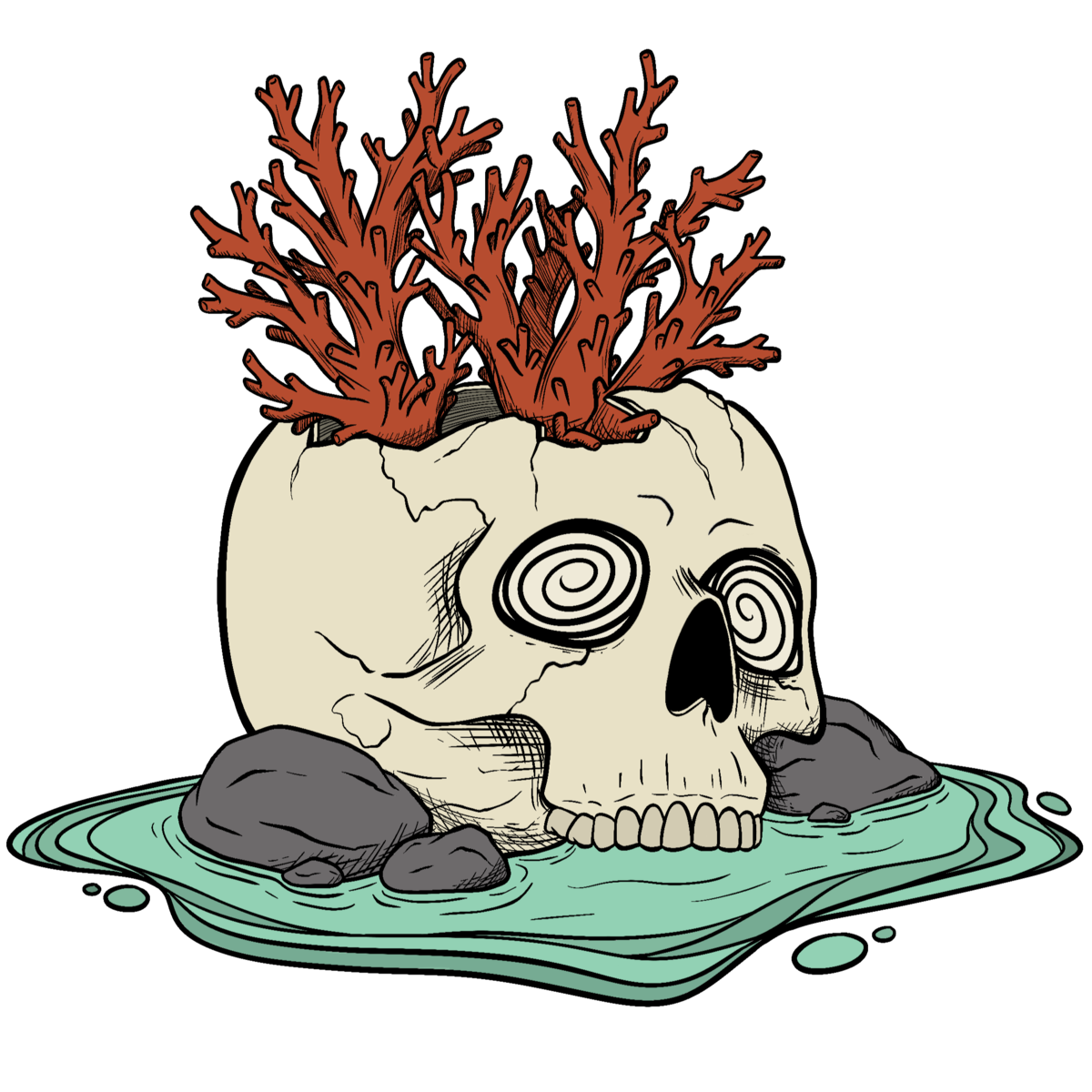 Arcane Corals Aquaculture and Reef Education