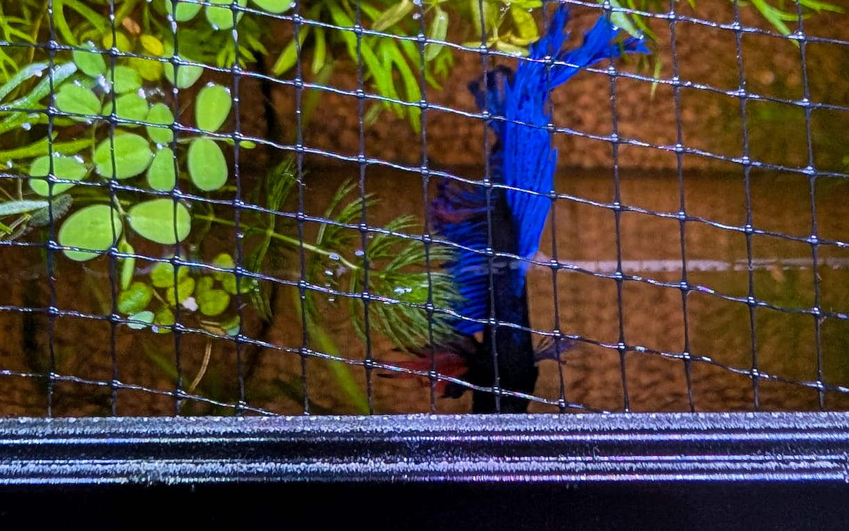 1/4 inch Clear Mesh Material for Reef Tank