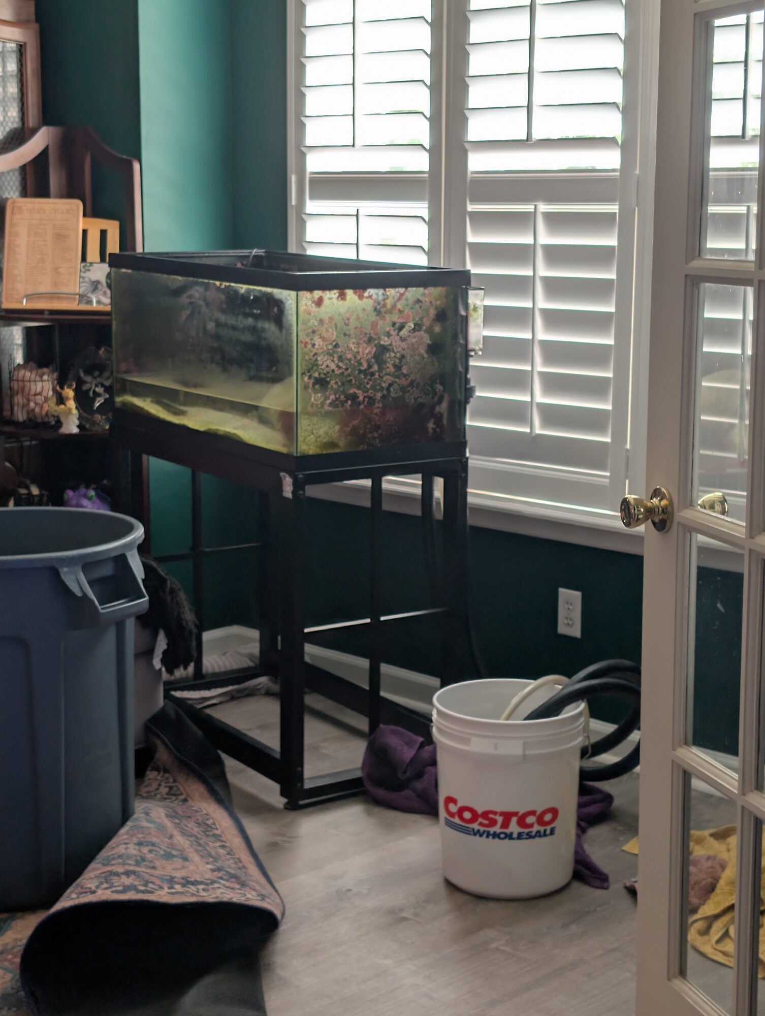 May 17. Mid-move. The stage where nothing is where it belongs and you just keep working.