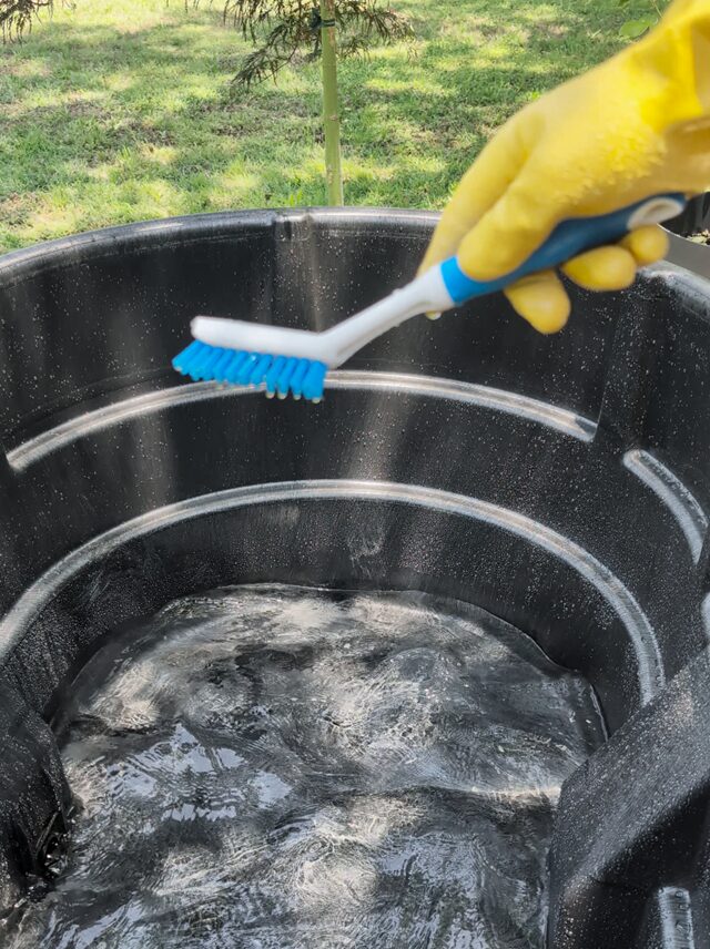 May 16. Vinegar and elbow grease. Nothing that touches soap ever holds coral.