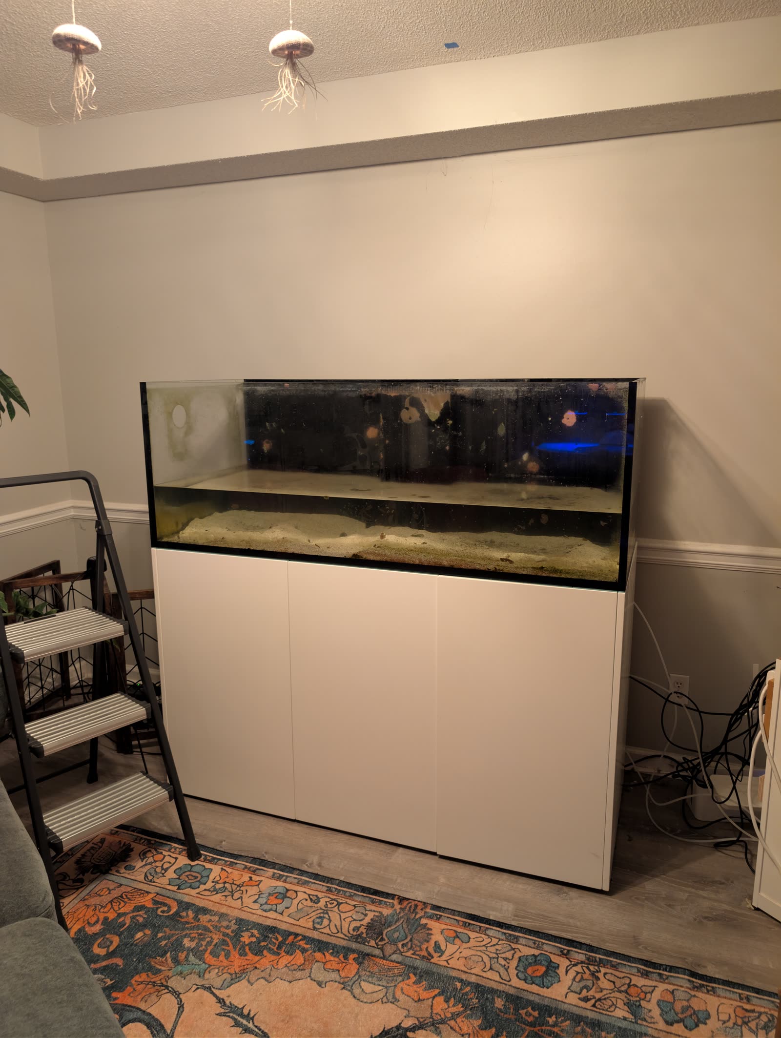 July 12, near midnight. Down to the sand. First time this tank has been empty since it was filled.