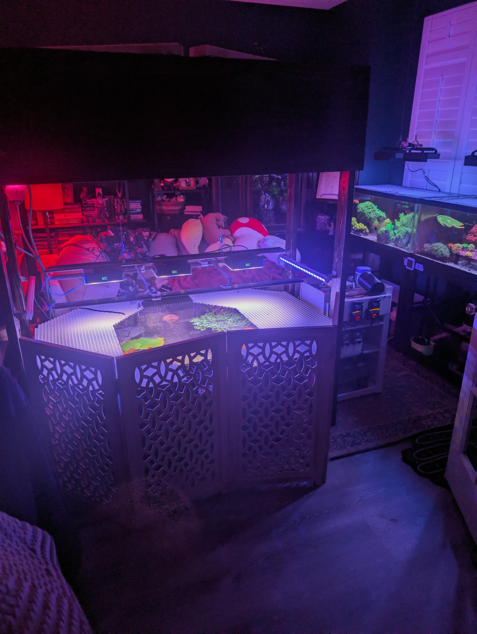 The fish room after the move: the holding tank holding court while the floor clears around it.