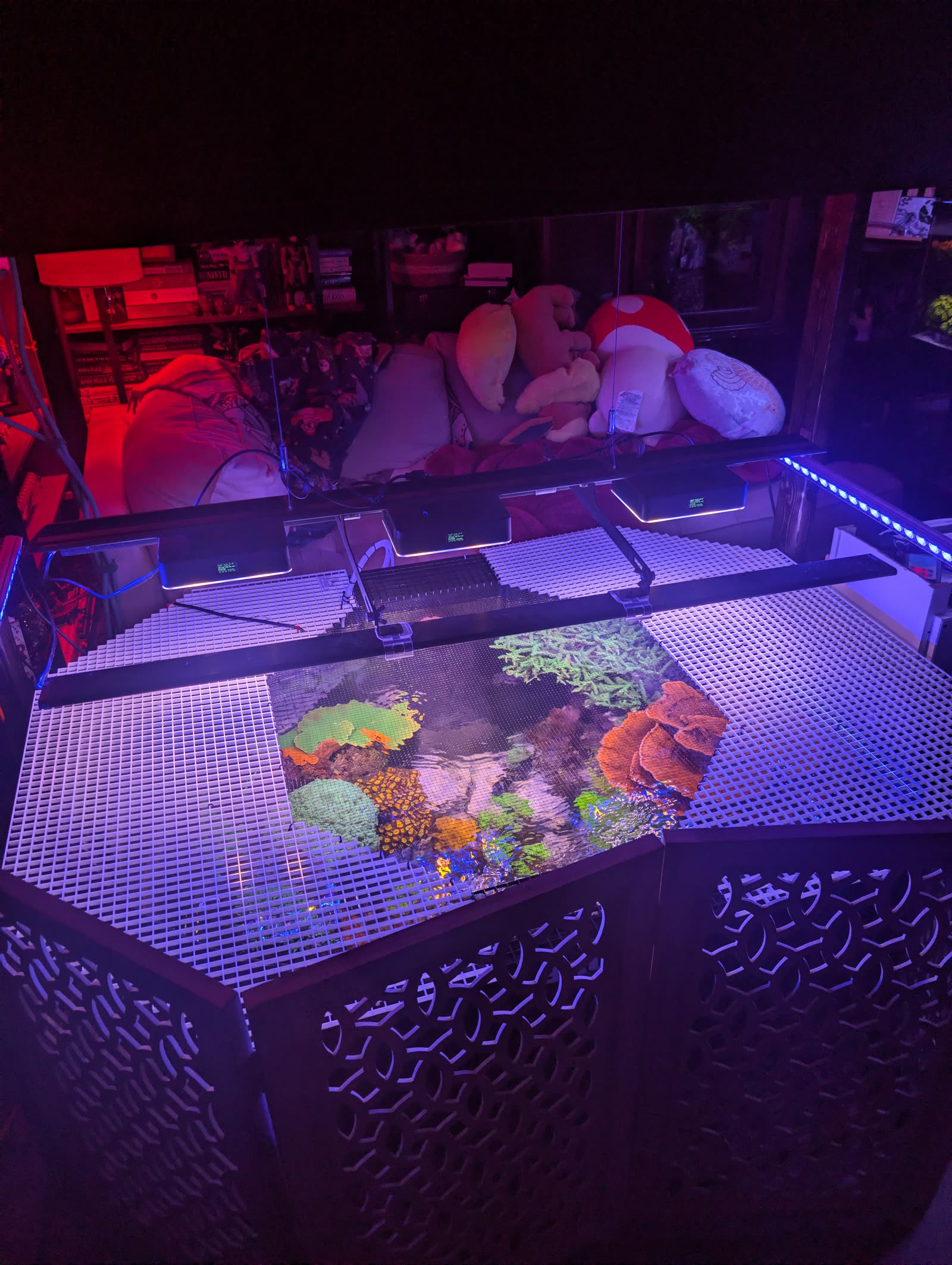 July 14, late. The holding tank at night. Settled in and glowing.