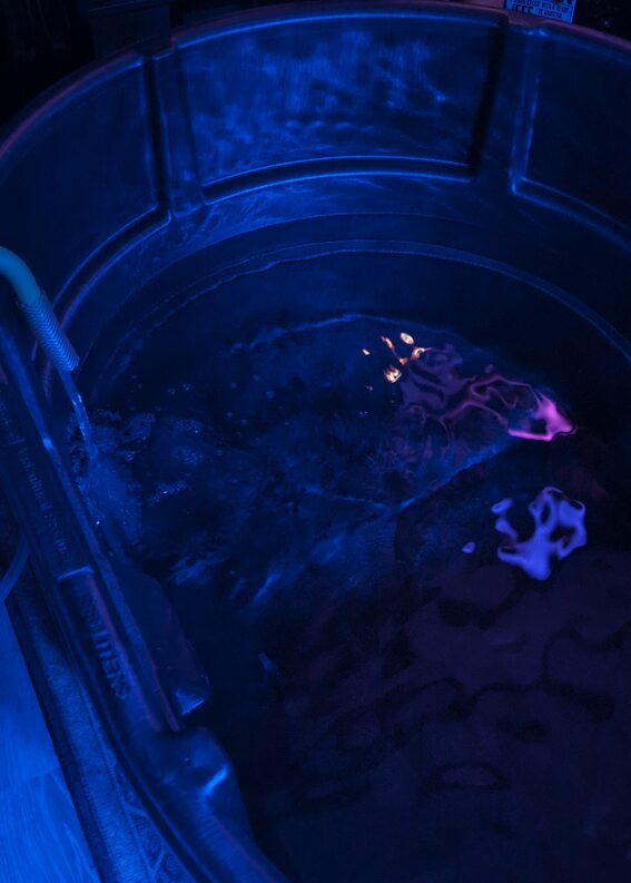 July 4. Water rising in the holding tank, first rock and frags going in under blue.